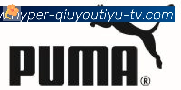 球友体育直播合作伙伴